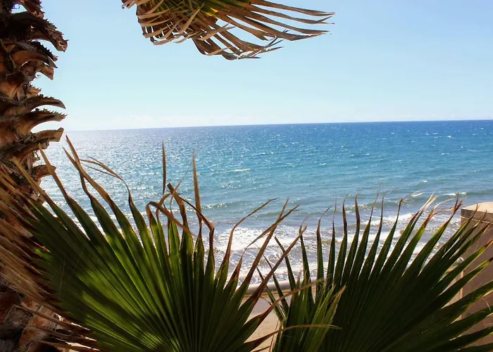 Bougainvillea Bamira